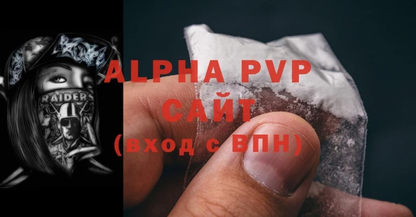 мяу мяу мука Бородино