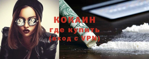 мяу мяу мука Бородино